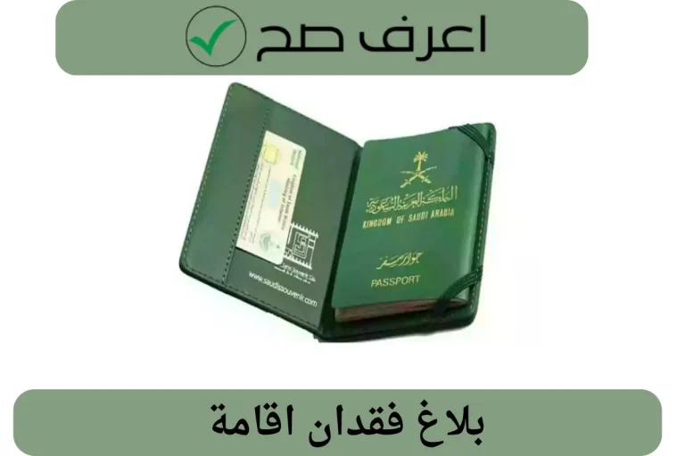 بلاغ فقدان اقامة