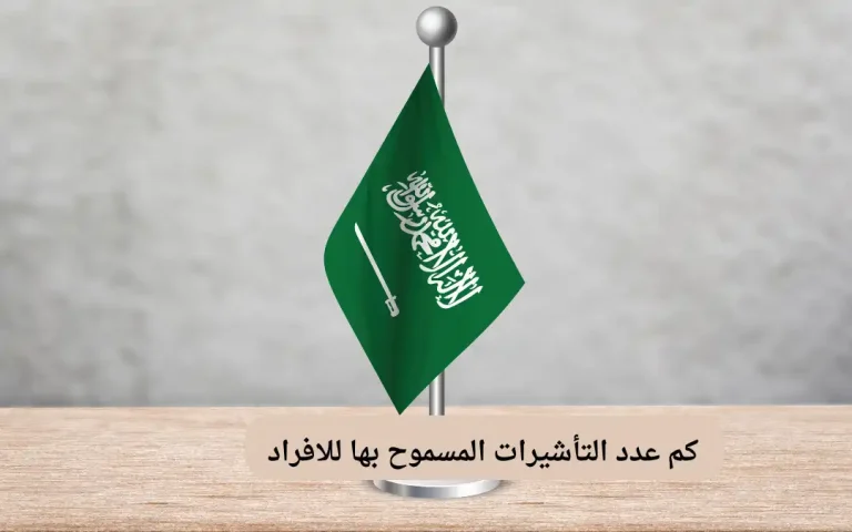 كم عدد التأشيرات المسموح بها للافراد