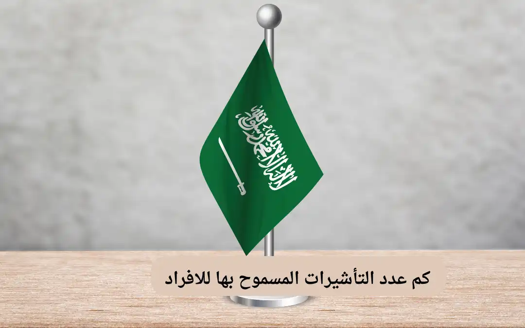كم عدد التأشيرات المسموح بها للافراد
