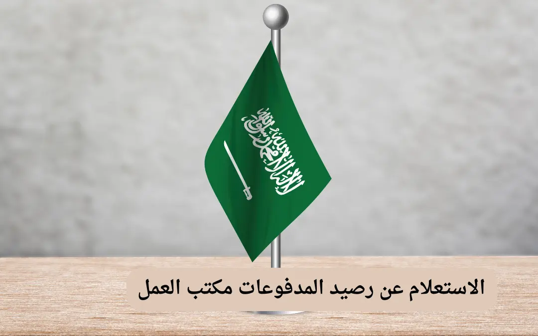 الاستعلام عن رصيد المدفوعات مكتب العمل