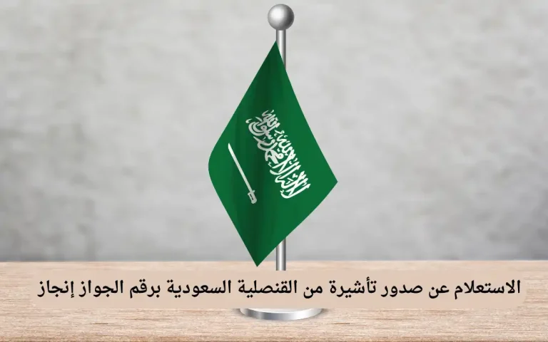 الاستعلام عن صدور تأشيرة من القنصلية السعودية برقم الجواز إنجاز