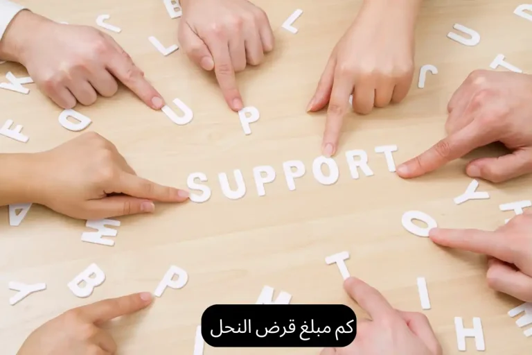 كم مبلغ قرض النحل
