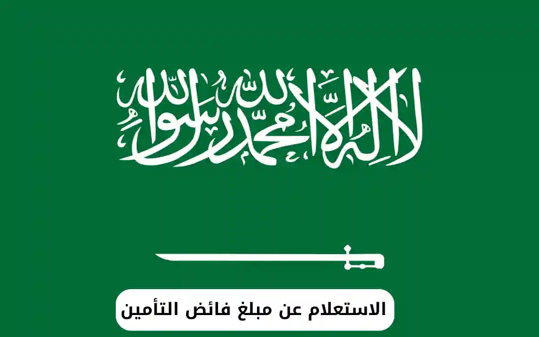 الاستعلام عن مبلغ فائض التأمين